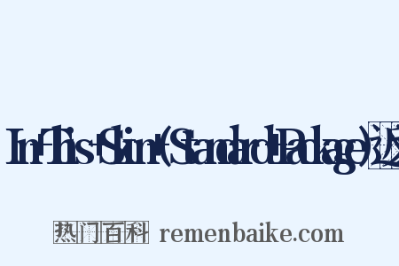 In+This+Skin+(Standard+Package)近义词是什么意思的图片